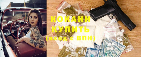 Альфа ПВП Бородино