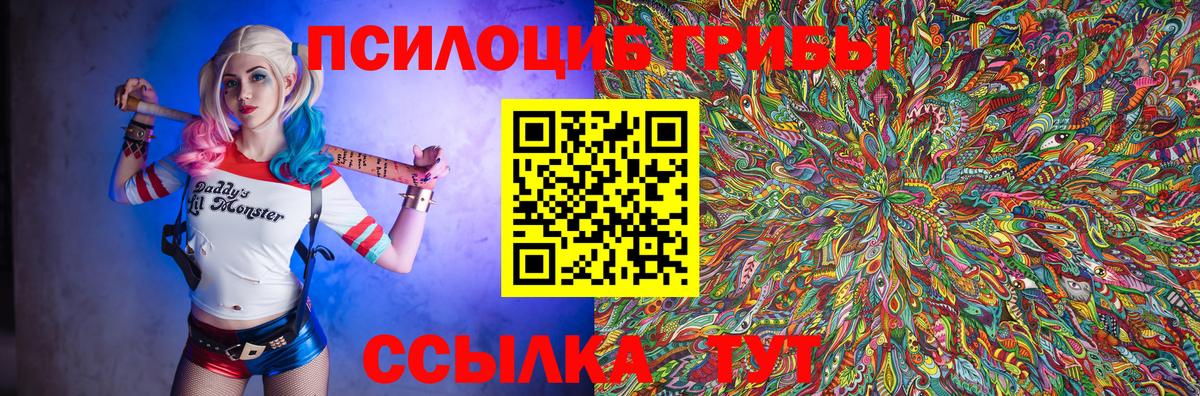 Псилоцибиновые грибы GOLDEN TEACHER  Вход с VPN  Выборг 